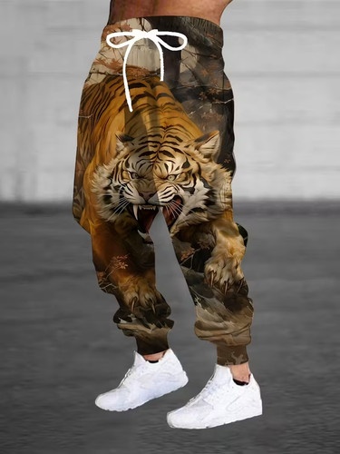 Calças esportivas masculinas 3 - Street Fashion Trends 2026 avaliação e preço